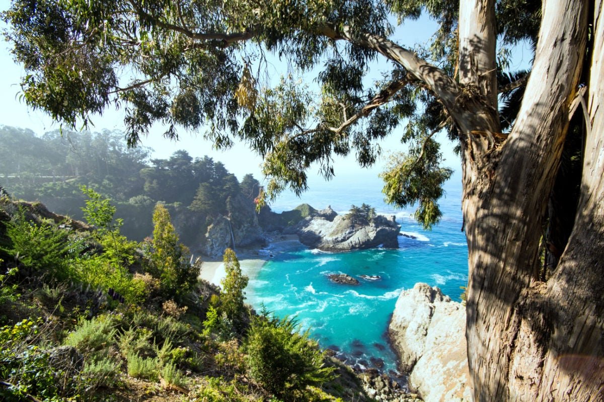 Picturesque view of the Northern California coastline.