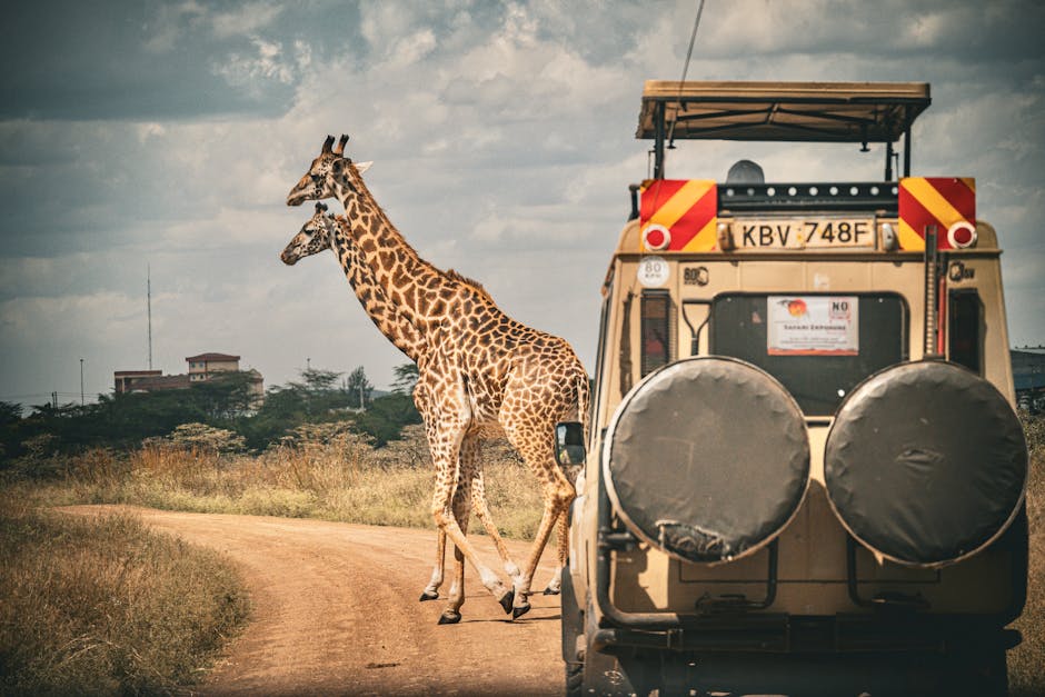 Best Wildlife Travel Destinations for Safari Adventures
