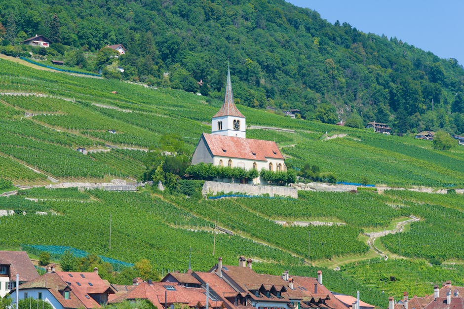 Switzerland Travel Guide: Top Places and Travel Tips